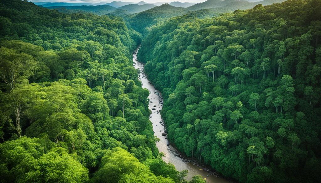 Amazon Rainforest Bolivia